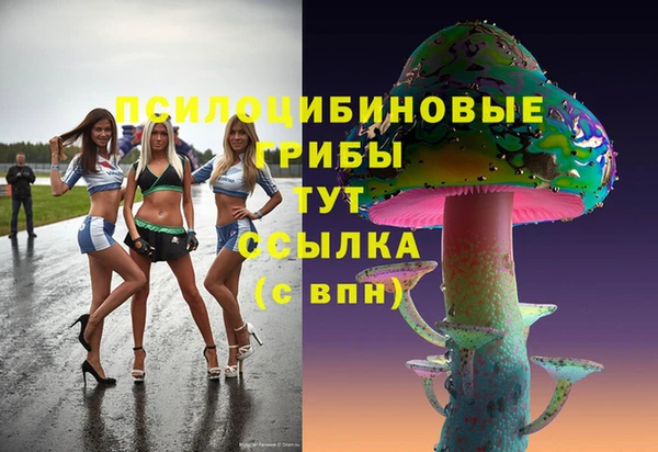 стафф Нягань