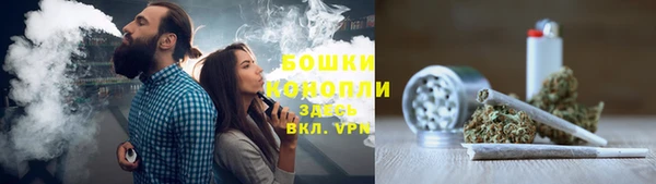 spice Няндома
