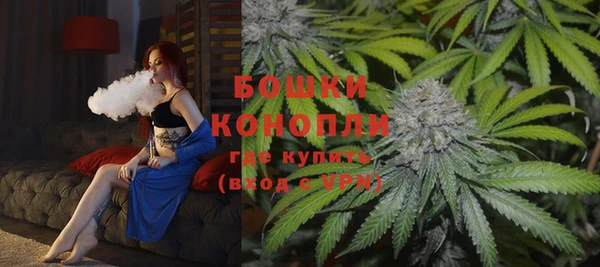 винт Осинники